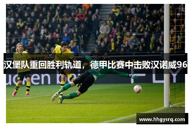 漢堡隊(duì)重回勝利軌道，德甲比賽中擊敗漢諾威96